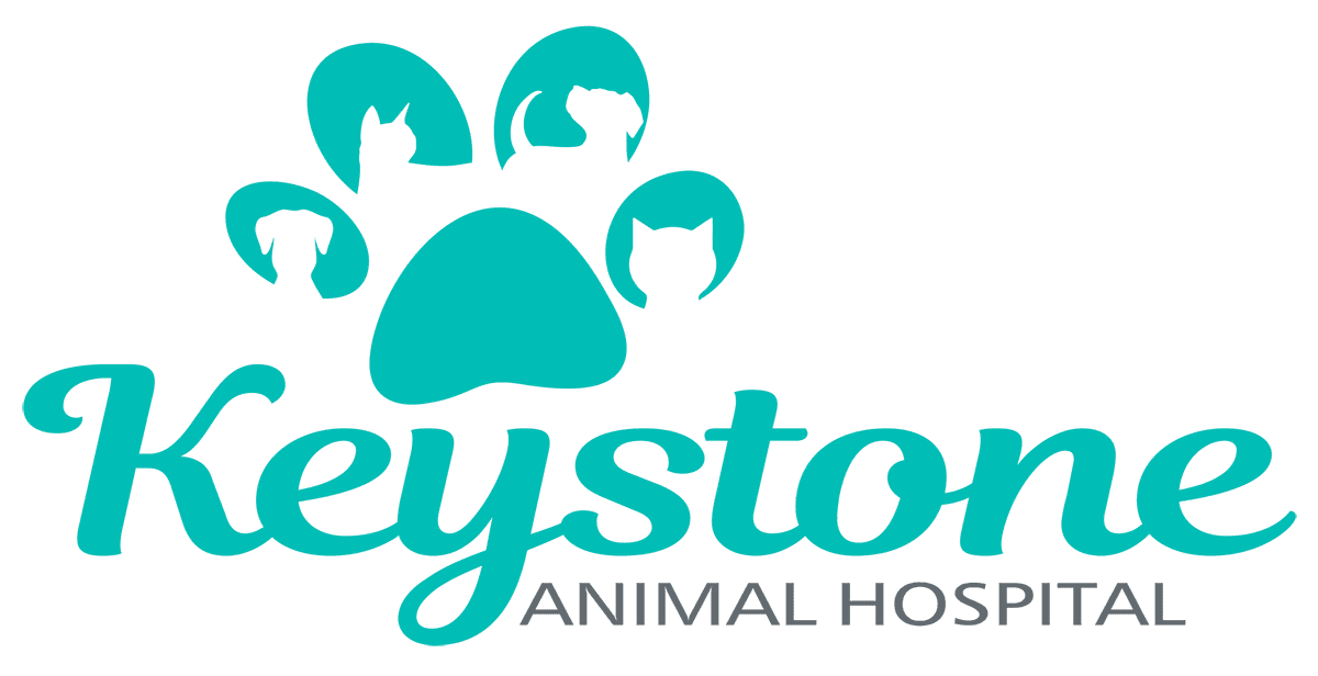 Keystone Logo Main New