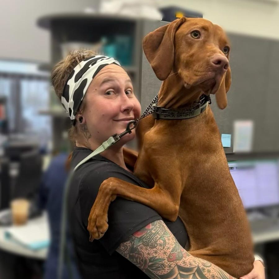 Female Staff Member Holding Dog