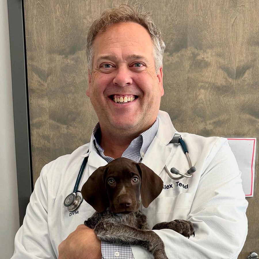 male veterinarian smiling and holding small brown dachshund